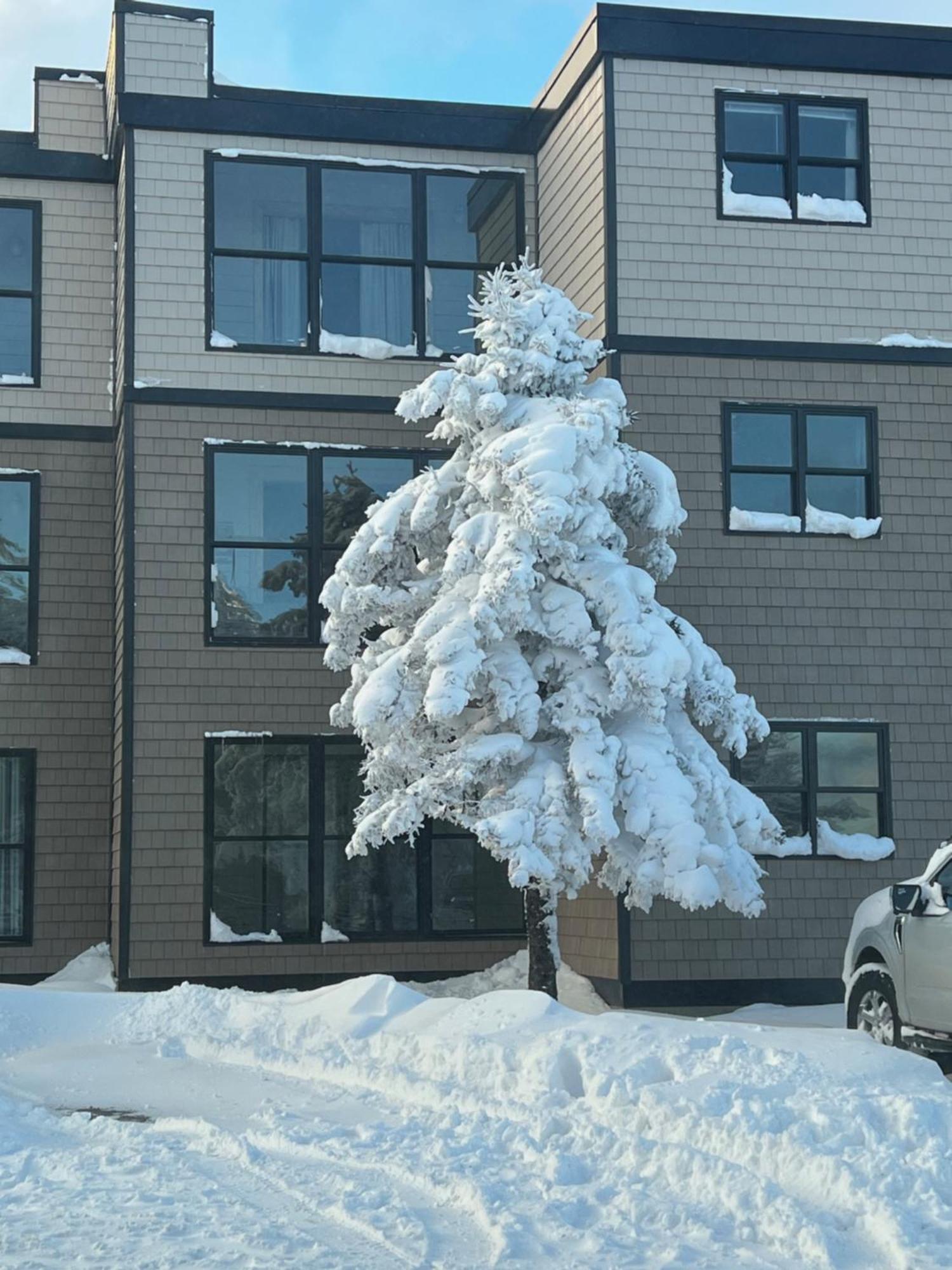 Snowcrest Condo Walking Distance To Slopes Snowshoe Luaran gambar